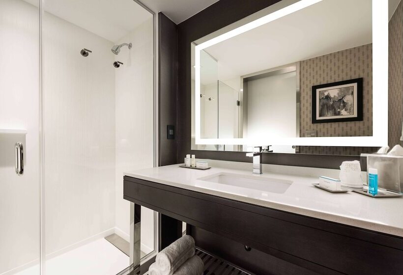 غرفة قياسية سرير مزدوج لذوى الإحتياجات الخاصة, Hilton Garden Inn Foxborough Patriot Place