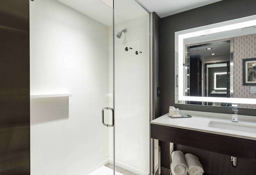 غرفة قياسية سرير مزدوج لذوى الإحتياجات الخاصة, Hilton Garden Inn Foxborough Patriot Place