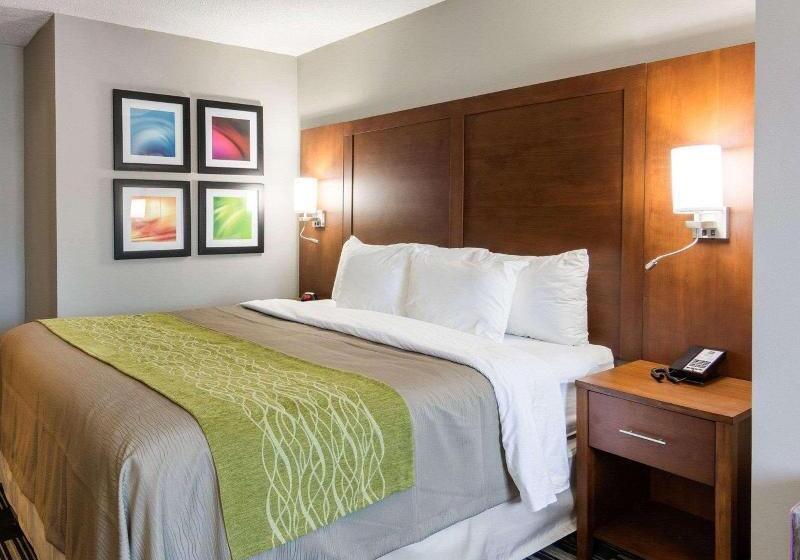 غرفة قياسية, Hilton Garden Inn Foxborough Patriot Place