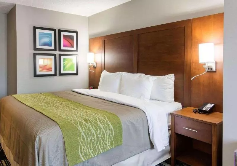 Standard-huone, Hilton Garden Inn Foxborough Patriot Place
