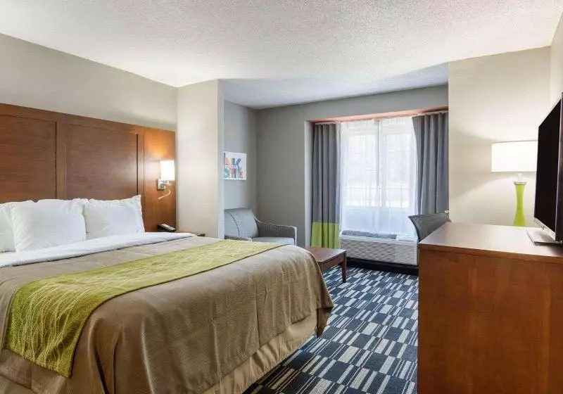 Standard-huone, Hilton Garden Inn Foxborough Patriot Place