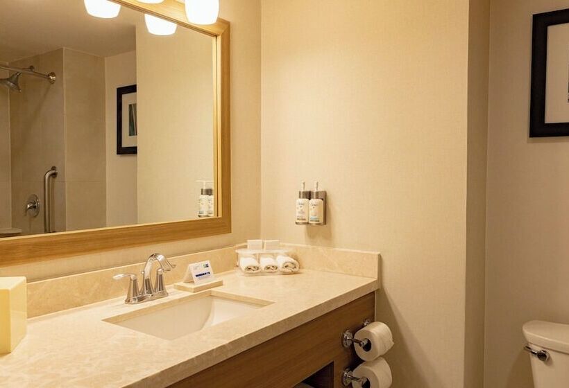 Suite, Holiday Inn Express & Suites Chihuahua Juventud, An Ihg