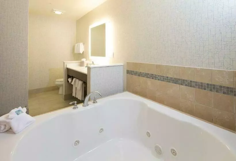 キングサイズベッドのエクゼクティブルーム, Holiday Inn Express & Suites La Porte, An Ihg