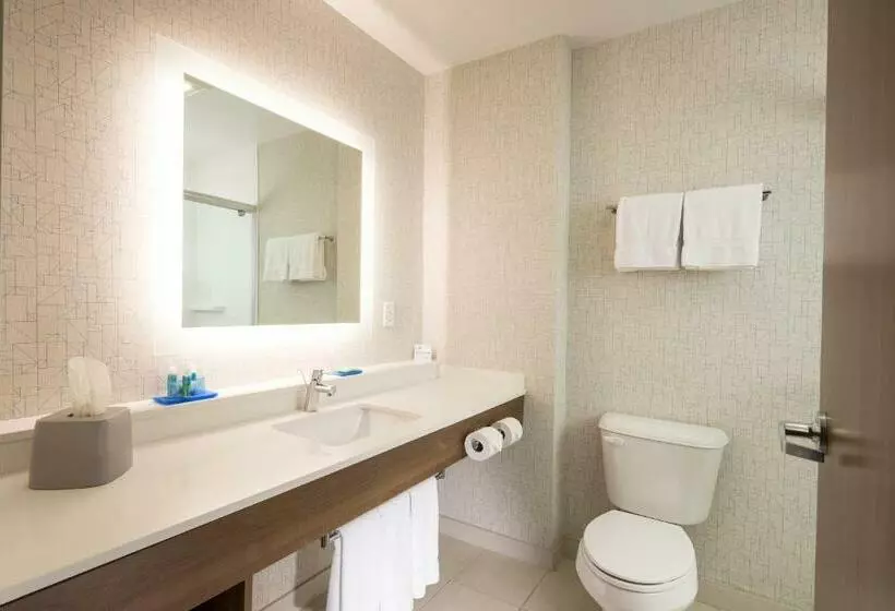 身障者適用キングサイズベッドルーム, Holiday Inn Express & Suites La Porte, An Ihg