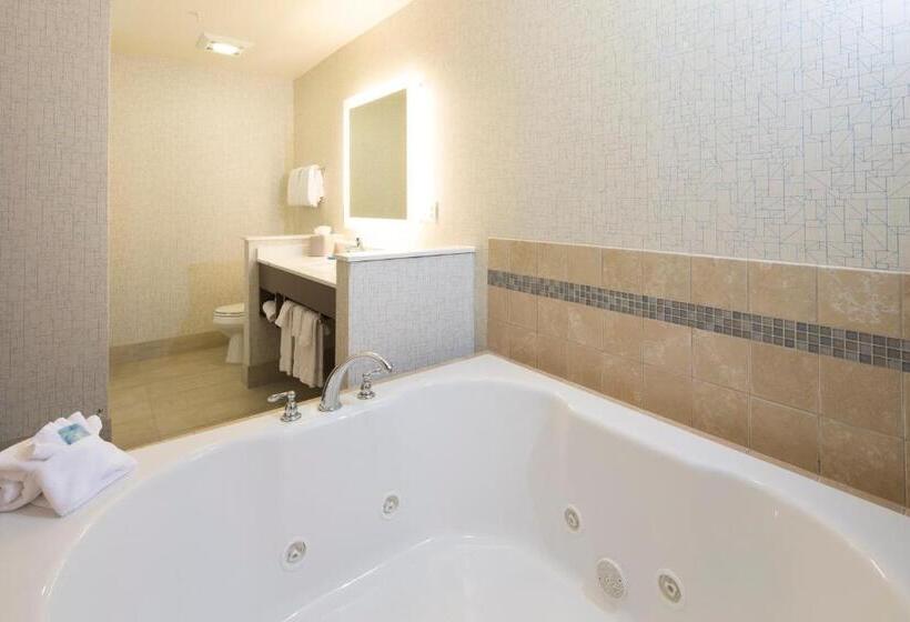 جناح إدارى, Holiday Inn Express & Suites La Porte, An Ihg