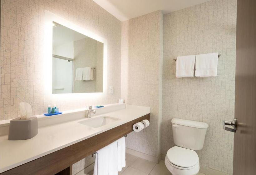 Люкс Кровать Кинг, Holiday Inn Express & Suites La Porte, An Ihg