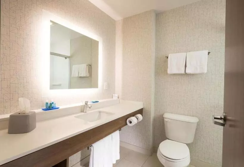 障害者適応デラックスルーム, Holiday Inn Express & Suites La Porte, An Ihg