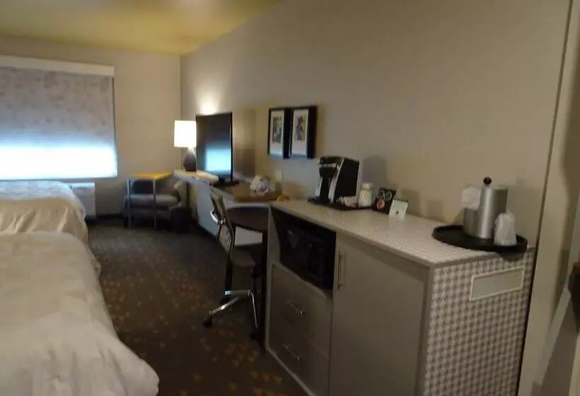 身障者適用スイートルーム, Holiday Inn   Jonesboro, An Ihg