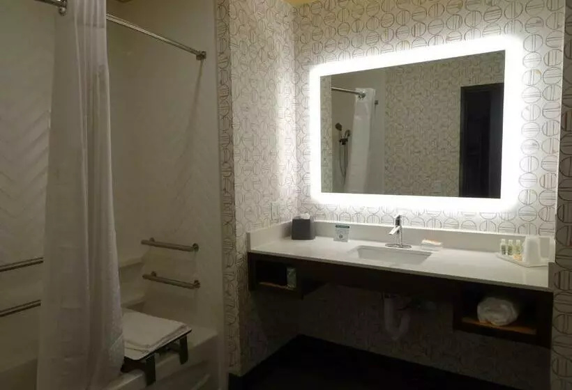 身障者適用キングサイズベッドルーム, Holiday Inn   Jonesboro, An Ihg