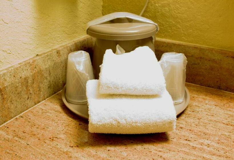 غرفه قياسيه سريرين مزدوجين, Polynesian Inn