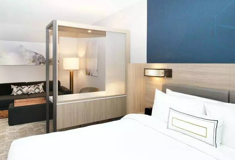 スイート, Springhill Suites By Marriott Seattle Issaquah