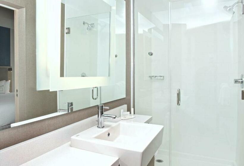 جناح سرير كينج, Springhill Suites By Marriott Seattle Issaquah