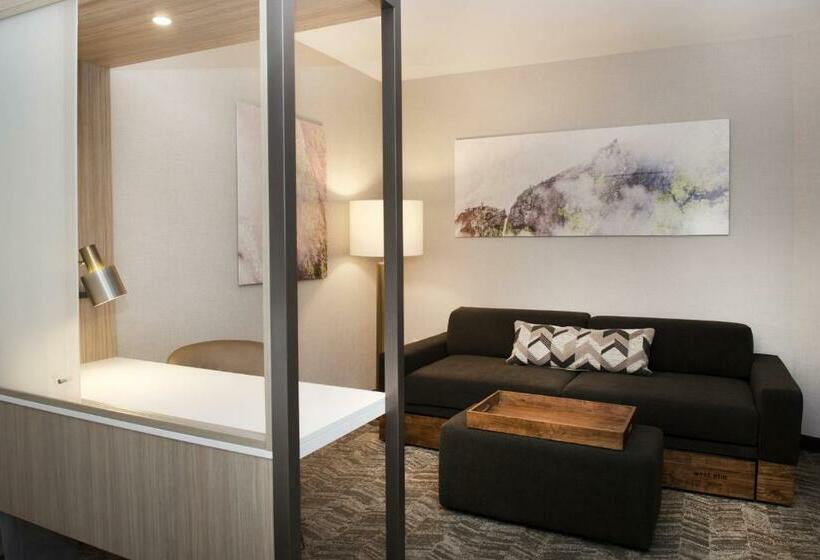 Люкс Кровать Кинг, Springhill Suites By Marriott Seattle Issaquah