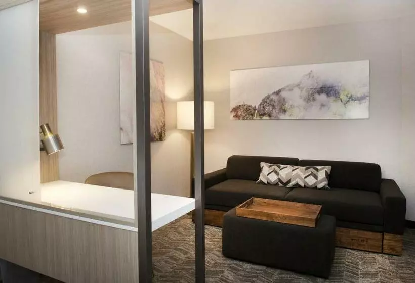 キングサイズベッドのスイートルーム, Springhill Suites By Marriott Seattle Issaquah