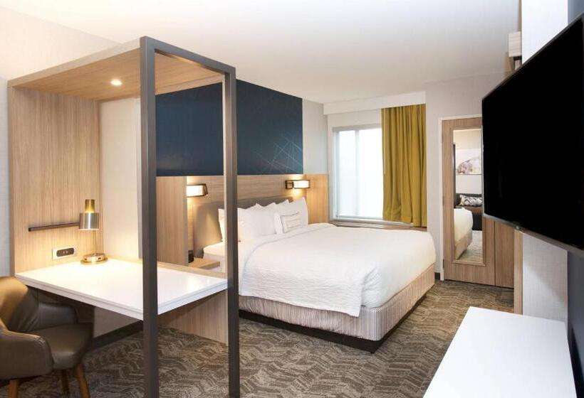 Люкс, Springhill Suites By Marriott Seattle Issaquah