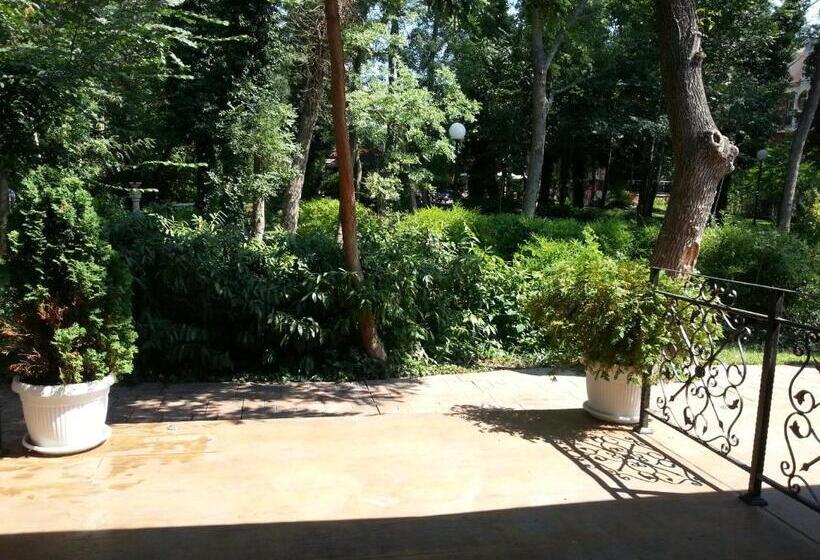 インサイドのスーペリアルーム, Venus