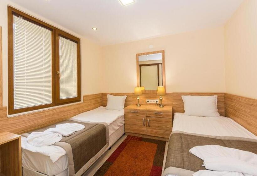 エクゼクティブジュニアスイート, Venus