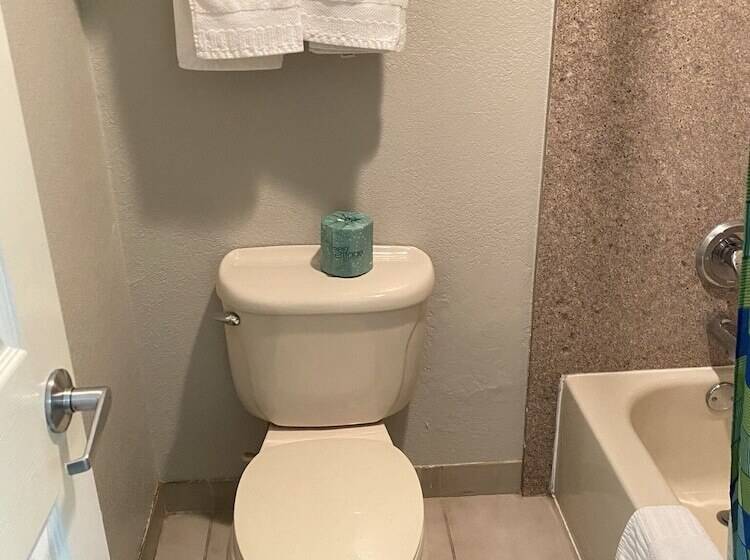 스탠다드 룸, Magnolia Inn And Suites