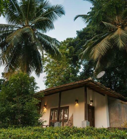 샬레, Leisure Land