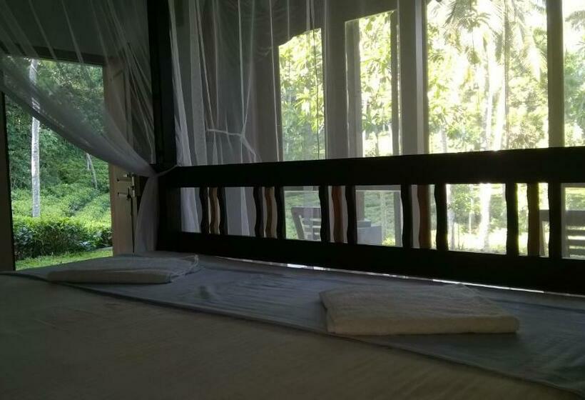 샬레, Leisure Land