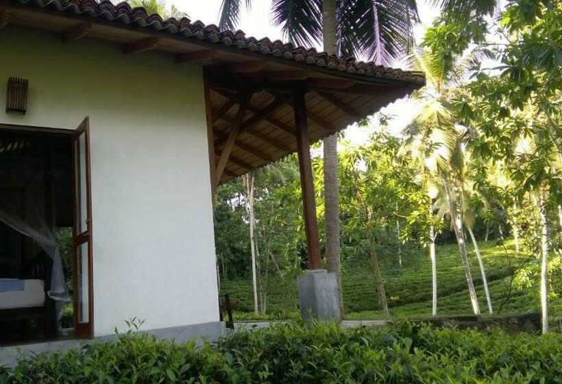 샬레, Leisure Land