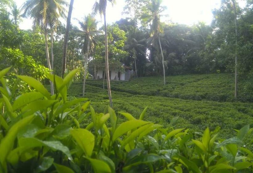 샬레, Leisure Land