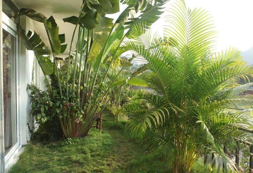 اتاق لوکس خانوادگی, Mai Chau Sunset Boutique