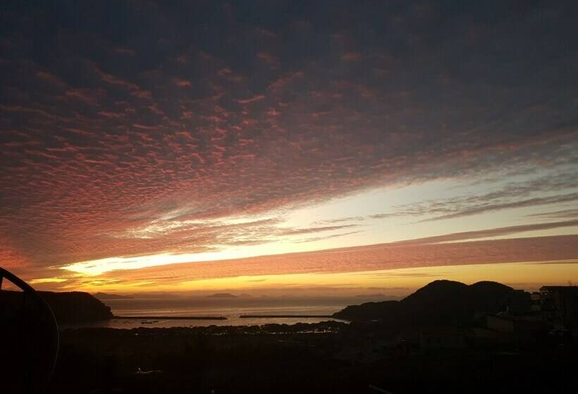 إستوديو قياسى مطلّ علي الحديقة, Namhae Neuhaus