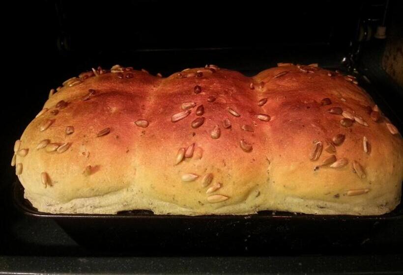 إستوديو قياسى مطل على البحر, Namhae Neuhaus