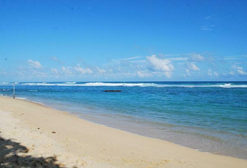 Chambre Triple Standard Vue Mer, Paradise Beach Resort & Diving School