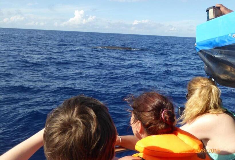 Chambre Standard Vue Mer, Paradise Beach Resort & Diving School