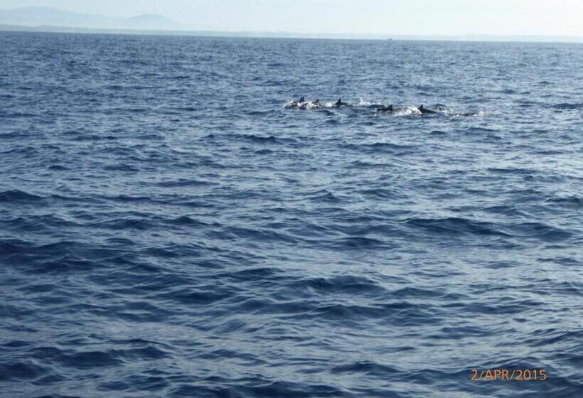 اتاق استاندارد با چشم‌انداز دریا, Paradise Beach Resort & Diving School