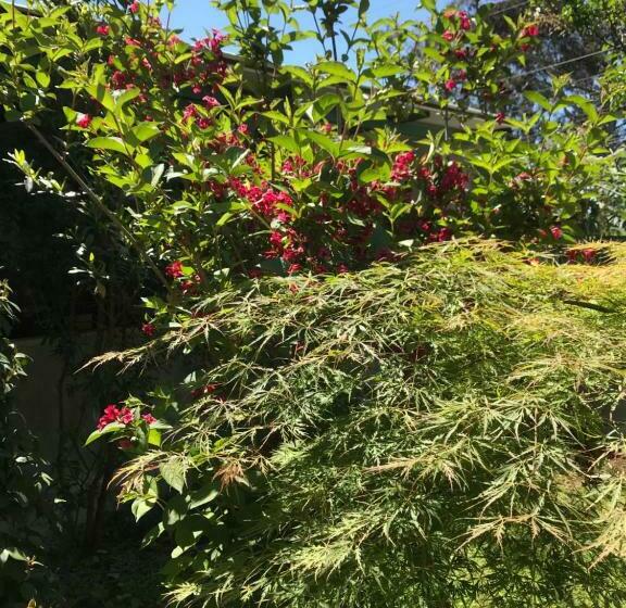 ویلای سوپریور 1 خوابه, Villa Del Mar