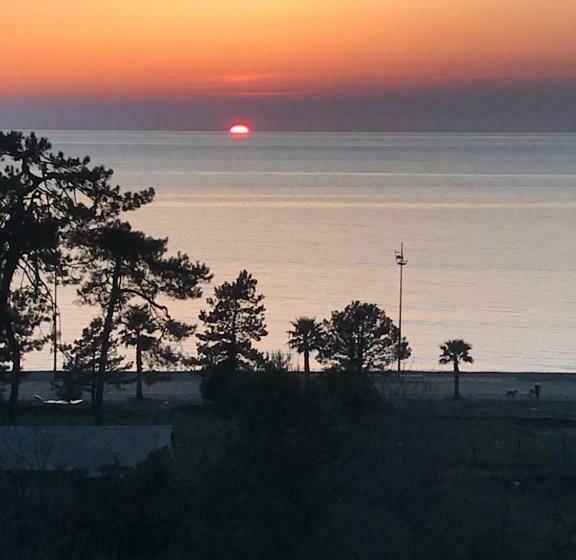 ویلای سوپریور 1 خوابه, Villa Del Mar