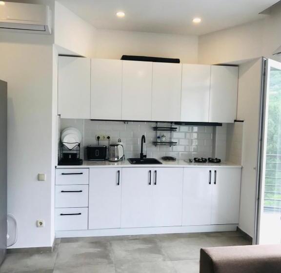 آپارتمان لوکس 1 خوابه, Villa Del Mar