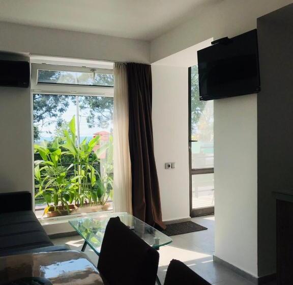 استودیو استاندارد با بالکن, Villa Del Mar