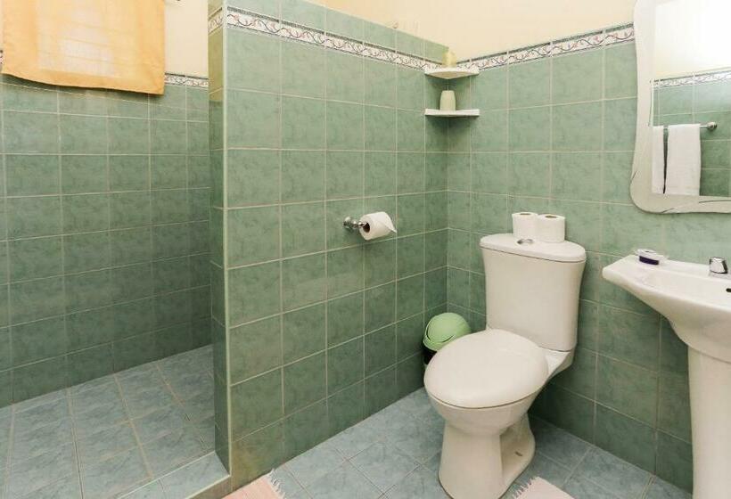 اتاق لوکس, Turtle Bay Dive Resort