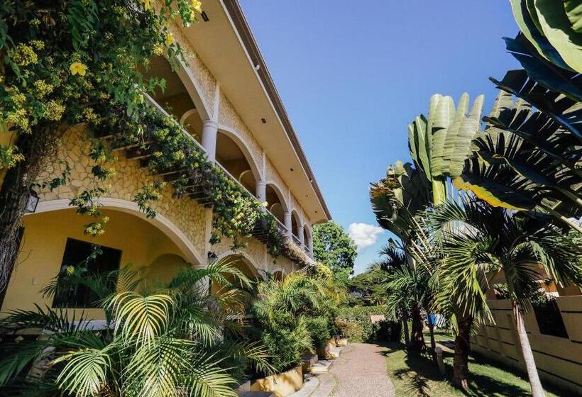 اتاق سوپریور خانوادگی, Turtle Bay Dive Resort