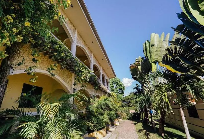 スーペリアファミリールーム, Turtle Bay Dive Resort