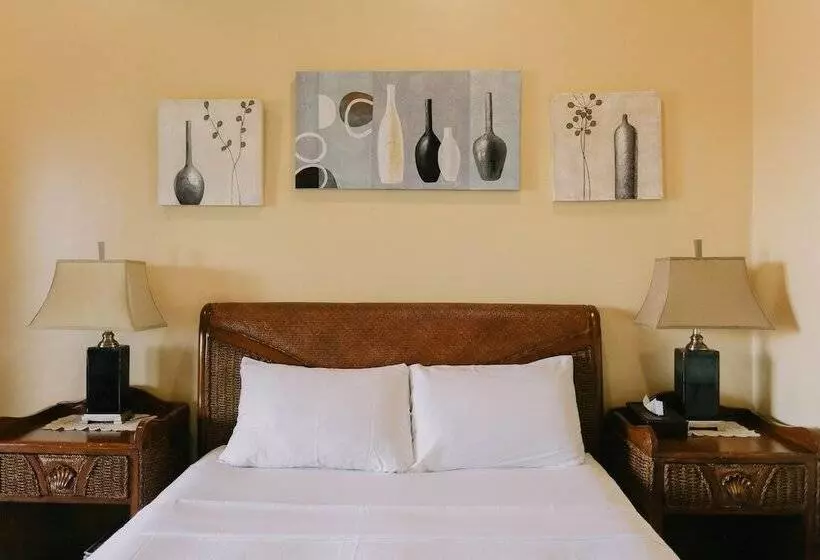 デラックスルーム, Turtle Bay Dive Resort