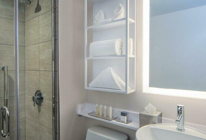 带城市景观的优质房间, Doubletree By Hilton New York Times Square West