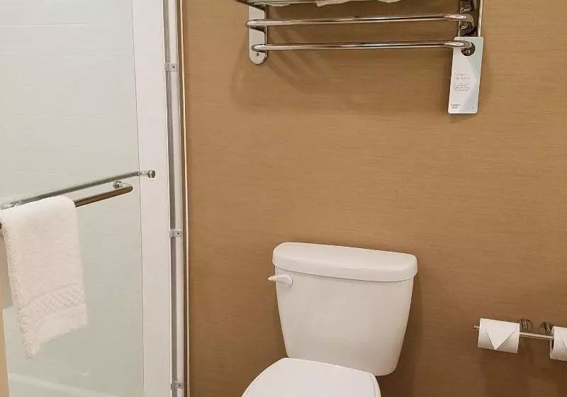 キングサイズベッドのスタンダードルーム, Fairfield Inn & Suites By Marriott Springfield Holyoke