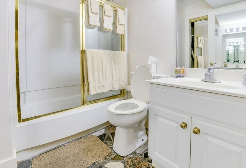 Apartamento 1 Dormitório, Plaza Suites Downtown New Orleans