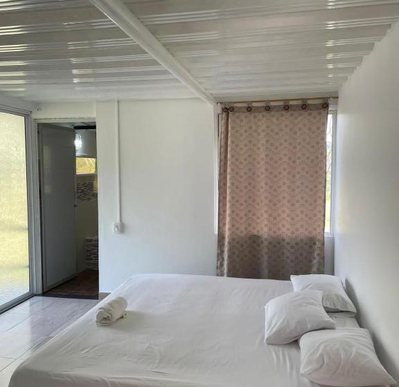 패밀리 룸, Campestre Refugio Texano