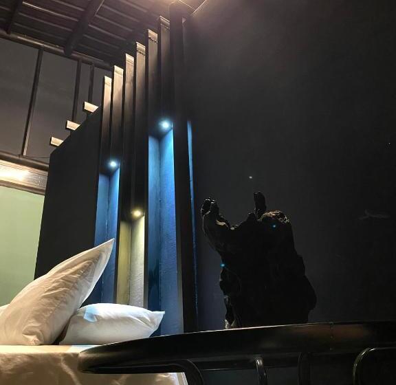 패밀리 스튜디오, Campestre Refugio Texano