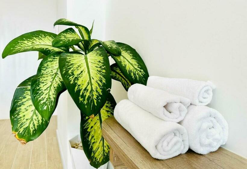 اتاق سوپریور, Lily House