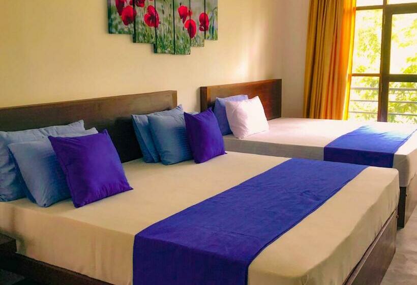 マウンテンビューファミリールーム, Red Letter