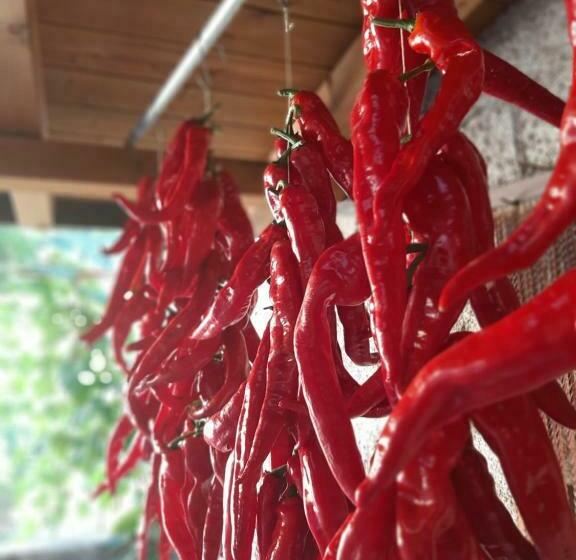 标准间, Residenza Rurale L Antico Castagneto