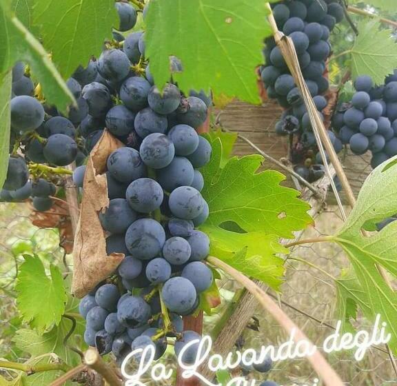 标准间, Residenza Rurale L Antico Castagneto