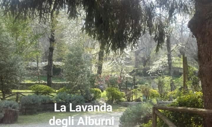 标准间, Residenza Rurale L Antico Castagneto